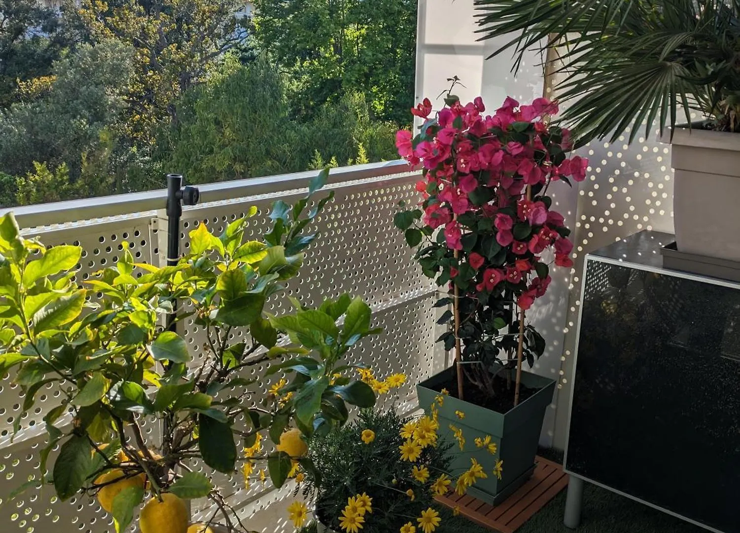 T3 Proche Des Calanques, Terrasse, Vue Collines Apartment Marseille